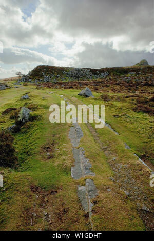 Haytor Granit Straßenbahn, Haytor, Dartmoor, Devon Stockfoto