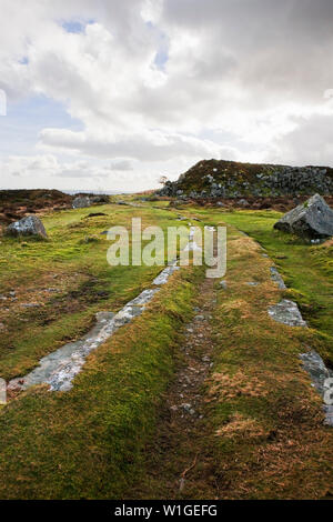 Haytor Granit Straßenbahn, Haytor, Dartmoor, Devon Stockfoto