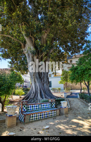 Barrio de Santa Cruz oder alten jüdischen Viertel von Sevilla Spanien Stockfoto