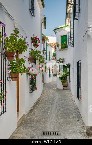 Calle Jazmines, Straße im Barrio de la Villa, Altstadt von Priego de Cordoba, Provinz Córdoba, Andalusien, Spanien Stockfoto