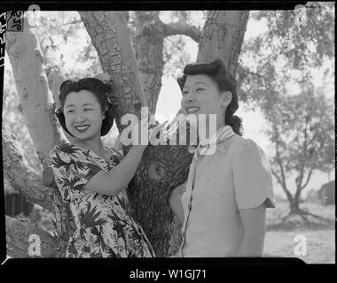 Manzanar Relocation Center, Manzanar, Kalifornien. Florenz Yamaguchi (links) und Kinu Hirashima, Bo. . .; Umfang und Inhalt: Der vollständige Titel für dieses Foto lautet: manzanar Relocation Center, Manzanar, Kalifornien. Florenz Yamaguchi (links) und Kinu Hirashima, beide aus Los Angeles, sind Bild, wie Sie unter einem Apfelbaum in Manzanar, einem Krieg Relocation Authority Center für Umsiedler von japanischen Vorfahren stand. Stockfoto