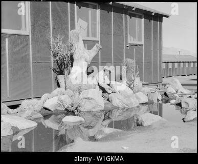 Manzanar Relocation Center, Manzanar, Kalifornien. William Katsuki, ehemaliger professioneller Landschaft ga. . .; Umfang und Inhalt: Der vollständige Titel für dieses Foto lautet: manzanar Relocation Center, Manzanar, Kalifornien. William Katsuki, ehemaliger professioneller Landschaftsgärtner für Großsiedlungen in Südkalifornien, zeigt sein Geschick und Einfallsreichtum bei der Erstellung von Materialien in der Nähe, eine Wüste Garten neben seinem Haus in der Kaserne an diesem Krieg Relocation Authority center. Stockfoto