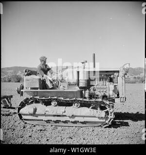 Monterey County, Kalifornien. Die ländliche Jugend. Mechanisierung; die landwirtschaftlichen Mitarbeiter. Nivellierung ein Feld mit einem Caterpillar Diesel 35 Stockfoto