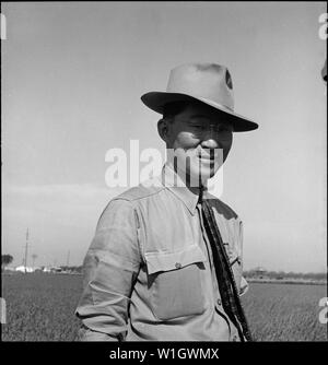 Mountain View, Kalifornien. Henry Mitarai, 36, erfolgreiche Große, mechanisierten farm Operator, an. . .; Umfang und Inhalt: Der vollständige Titel für dieses Foto lautet: Mountain View, Kalifornien. Henry Mitarai, 36, erfolgreiche Große, mechanisierten Farm operator, auf seiner Ranch vor der Evakuierung. Stockfoto