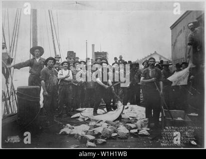 N. S. Bahn, Tacoma [Washington. Terr.] Versand erste Ladung der Heilbutt gefangen im Puget Sound durch die Crew der Schoner Oscar und Hattie. September 20, 1888. Von N. B. Miller. Stockfoto