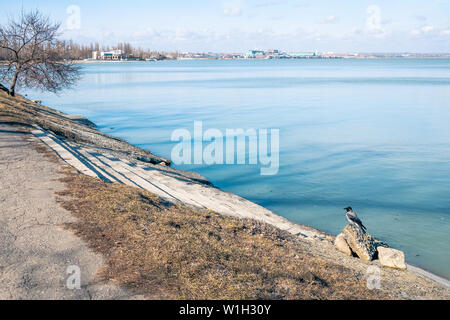 Graue Krähe sitzt in der Nähe von dem Meer. Der Vogel sitzt auf den Felsen am Meer. schönen Herbst Seascape Stockfoto