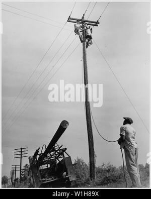 Newberry County, South Carolina. Männer wirklich bei der Arbeit Entfernen kleiner Transformator zu ersetzen durch ein. . .; Umfang und Inhalt: Die Bildunterschrift lautet wie folgt: Newberry County, South Carolina. Männer wirklich bei der Arbeit Entfernen kleiner Transformator durch einen großen wie die Newberry Electric Cooperative wächst auf ersetzt werden. Stockfoto