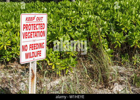 Florida Lee County, Bonita Springs, Golf von Mexiko Küste, öffentlicher Strand, Düne, einheimische geschützte Vegetation, Schild, Erhaltung, Ökosystem, keine fütternde Tierwelt, k Stockfoto