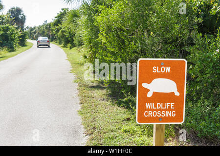 Florida Lee County, Bonita Springs, Golfküste von Mexiko, Black Island, Carl E. Johnson Public Park, State Park, Schild, langsam, Wildtierüberquerung, Schildkröte, Straße, Gemüse Stockfoto