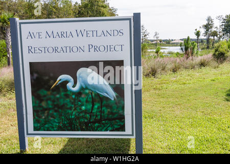 Naples, Florida, Ave Maria, geplante Gemeinde, College-Stadt, römisch-katholische Universität, Religion, Lebensstil, Tom Monaghan, Gründer, Domino's Pizza, Kontroverse, ich Stockfoto