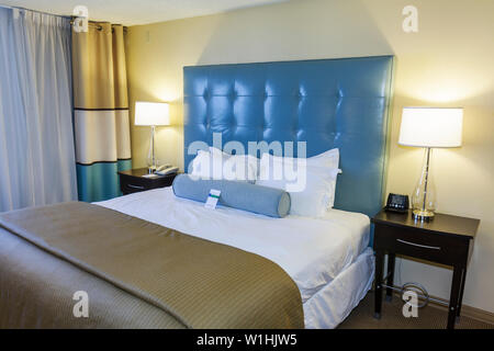 Miami Florida, Wyndham Miami Airport, Hotel, Kette, Unterkunft, Gästezimmer, Queensize-Bett, Nachttisch, Lampe, Schreibtisch, Einrichtung, Inneneinrichtung, Bettwäsche, Kissen, Polsterauflage Stockfoto