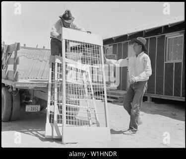 Poston, Arizona. Apache Indianer helfen bei der Entladung von Betten für Umsiedler von japanischen Vorfahren ein. . .; Umfang und Inhalt: Der vollständige Titel für dieses Foto lautet: Poston, Arizona. Apache Indianer helfen bei der Entladung von Betten für Umsiedler von japanischen Vorfahren an diesem Krieg Relocation Authority Center, die auf dem Colorado River Indian Reservation befindet. Stockfoto