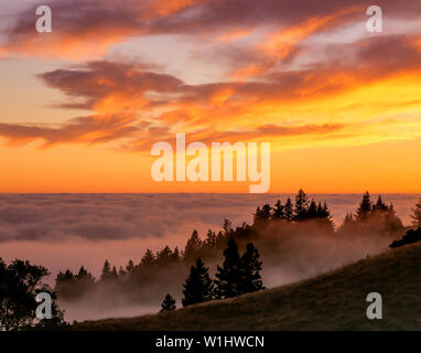 Sonnenuntergang, Bolinas Ridge, Mount Tamalpais State Park, Golden Gate National Recreation Area, Marin County, Kalifornien Stockfoto