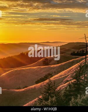 Sonnenuntergang, Bolinas Ridge, Mount Tamalpais State Park, Golden Gate National Recreation Area, Marin County, Kalifornien Stockfoto