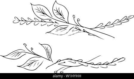 Handgezeichnete Vektorgrafiken von zwei Äste mit Blumen und Blätter isoliert auf Weiss. Hand gezeichnete Skizze eines Blumen Stock Vektor