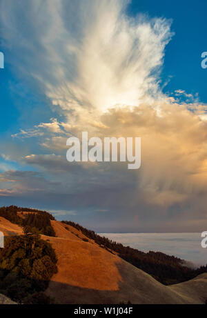 Bolinas Ridge, Mount Tamalpais State Park, Golden Gate National Recreation Area, Marin County, Kalifornien Stockfoto