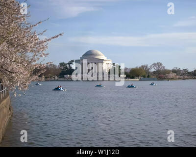 Paddelboote am Tidal Basin mit Jefferson Memorial Stockfoto