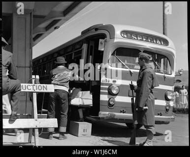 San Bruno, Kalifornien. Ein Greyhound Bus, Umsiedler zu der Sammelstelle. Stockfoto