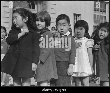 San Francisco, Kalifornien. Viele Kinder der japanischen Vorfahren besucht Raphael Weill Public School. . .; Umfang und Inhalt: Der vollständige Titel für dieses Foto lautet: San Francisco, Kalifornien. Viele Kinder der japanischen Vorfahren besucht Raphael Weill öffentliche Schule, Geary und Buchanan Straßen, vor der Evakuierung. Diese Szene zeigt Erstlingssortierer während Flagge versprechen Zeremonie. Umsiedler von japanischen Vorfahren wird in War Relocation Authority untergebracht werden Zentren für die Dauer. Bestimmung wird für die Fortsetzung der Ausbildung erfolgen. Stockfoto