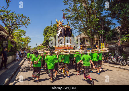 Ubud, Bali, Indonesien - 22. April 2019: Royal Einäscherung Zeremonie prepation. Balinesischen Hindus religion Prozession. Bade und Lembu Black Bull Symbol für Stockfoto