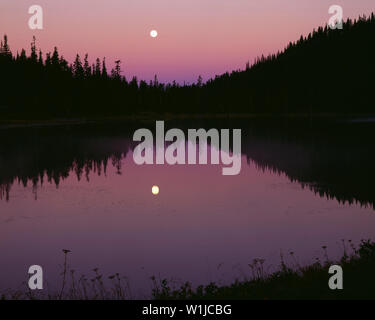 USA, Washington, Mt. Rainier National Park, Full Moon sets über die Reflexion See als rosa Licht der Dämmerung bringt Farbe in den Himmel. Stockfoto