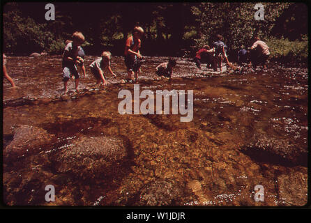 Der DENVER P.T.A. Förderte eine EINWÖCHIGE SUMMER WORKSHOP AN DEN SCHULEN EINZUFÜHREN, UM DIE NATÜRLICHE UMWELT. Hier Jugendliche lernen, einen Staudamm bauen in Boulder Creek Stockfoto
