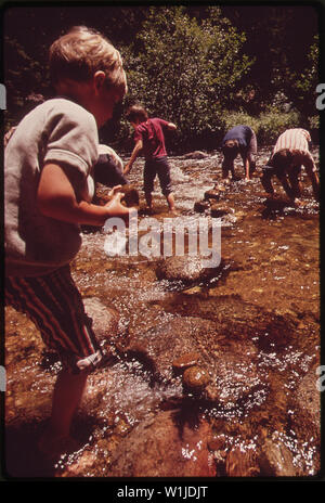 Der DENVER P.T.A. Sponsoren einen einwöchigen Workshop an den Schulen einzuführen, UM DIE NATÜRLICHE UMWELT. Hier Jugendliche lernen, einen Staudamm bauen in Boulder Creek Stockfoto