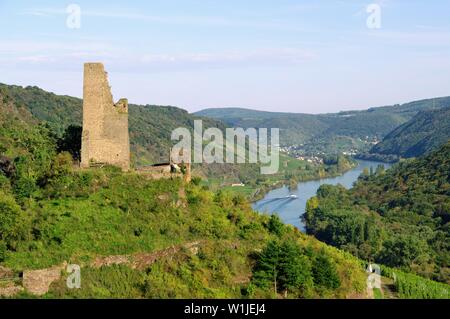 Coraidelstein 01 Stockfoto