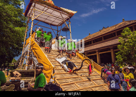 Ubud, Bali, Indonesien - 22. April 2019: Royal Einäscherung Zeremonie prepation. Balinesischen Hindus religion Prozession. Bade und Lembu Black Bull Symbol für Stockfoto