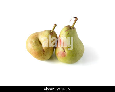 Zwei Birnen. Wirklich bio Birne. Zwei frische reife saftig nicht perfekt Birnen. Birne isoliert auf Weiss mit Freistellungspfaden. Kopieren Sie Platz für Text. 2 ganze Birnen in natürlichem Tageslicht Stockfoto
