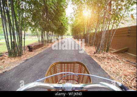 Radtouren retro Fahrrad im Bambuswald mit Sonnenlicht glänzen Stockfoto