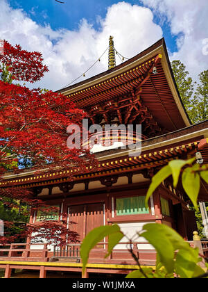 Die bunten Toto Pagode oder Östliche Pagode im Unesco Danjon Garan Shingon Buddhismus Tempel Komplex in Koyasan, Wakayama, Japan aufgelistet Stockfoto