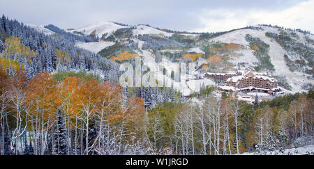 Ende September Schneefall decken den Herbst Landschaft rund um die Montage im Empire Pass in Deer Valley, Park City, Utah. (C) 2013 Tom Kell Stockfoto