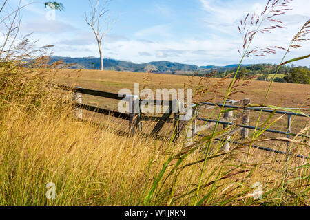 Die Ländlichen australischen Landschaft mit einem Tor und Fechten im Vordergrund. Stockfoto