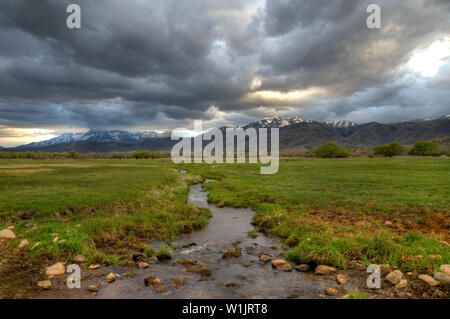 Eine riesige Frühling Sturm rollt über Mt. Timpanogos als Regen füllt eine Creek auf einer Ranch in der Nähe von Midway, Utah in ländlichen Wasatch County. (C) 2012 Tom Kelly Stockfoto