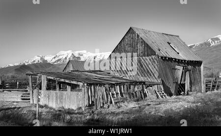 Eine alte Scheune liegt in den Ausläufern des Mt. Timpanogos in der Nähe von Midway, Utah in ländlichen Wasatch County. (C) 2012 Tom Kelly Stockfoto