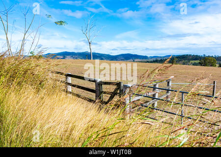 Die Ländlichen australischen Landschaft mit einem Tor und Fechten im Vordergrund. Stockfoto