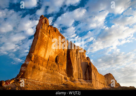 Geschwollene weiße Wolken Linie a deep blue sunrise Himmel, als am frühen Morgen Licht malt eine redrock Denkmal im Courthouse Wash im Arches National Park. C) (2) Stockfoto