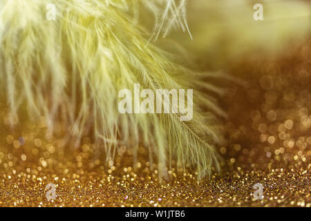 Sanfte magischen goldenen Hintergrund mit Gelbe Feder. Makro Foto Stockfoto