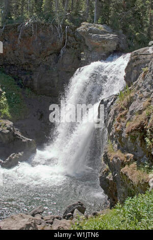 Wasserkaskaden über Elche fällt auf den Lewis River im Yellowstone National Park. Stockfoto