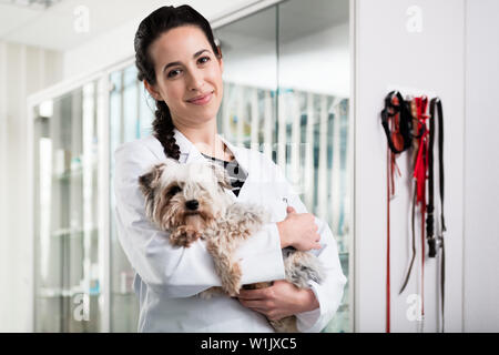 Happy Tierarzt die kranken Welpen Stockfoto