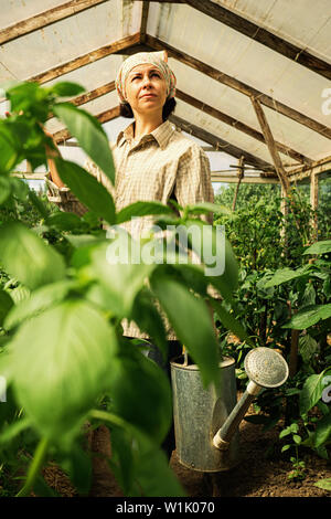 Junge Frau, Bewässerung von Pflanzen im Gewächshaus Nahaufnahme. home Gartenbau Stockfoto