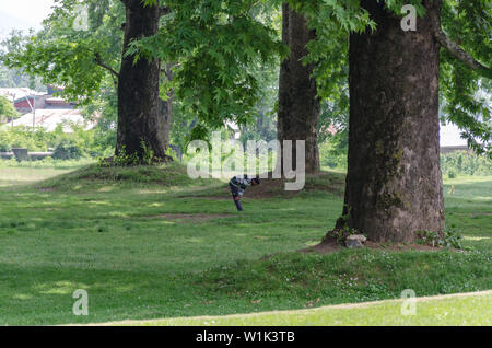 Muslimischen Mann bietet Namaz während des Monats Ramadan bei Nishat Bagh, Srinagar, Jammu und Kaschmir, Indien Stockfoto