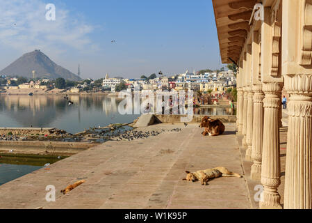 Pushkar, Indien - Februar 06, 2019: ghats am Heiligen See in Pushkar Rajasthan Stockfoto