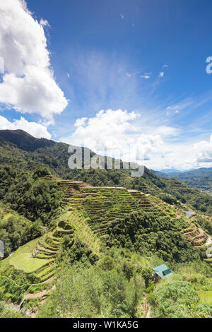 Blick auf die Reisterrassen von Banaue Aussichtspunkt, Banaue, Philippinen Stockfoto