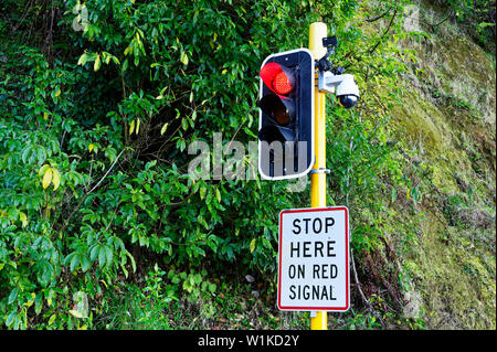 Ampeln auf Rot gegen eine buschige Hintergrund Stockfoto