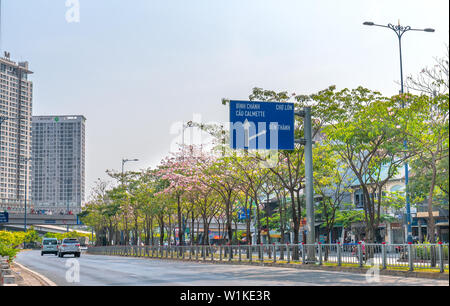 Tabebuia rosea Bäume blühen ist entlang der Avenue gewachsen Die urbane Landschaft genauer Dekorieren mit der Natur Stockfoto