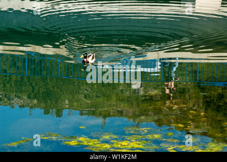 Wasser, Quelle des Lebens Stockfoto