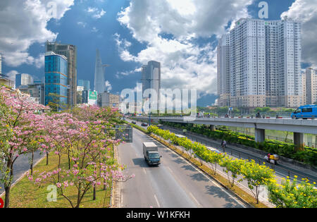 Der Verkehr in Saigon Straße mit dem Auto bewegen unter Rosa tabebuia Judy Blume Baum des entwickelte Stadt in Ho Chi Minh City, Vietnam Stockfoto