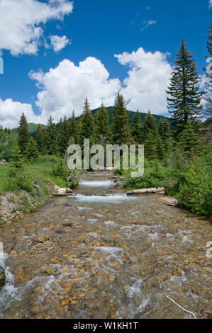 Puffy weiß cumulous Wolken heraus von einem strahlend blauen Himmel als Stream durch American Fork Canyon in Utah Wasatch Mountains. Stockfoto